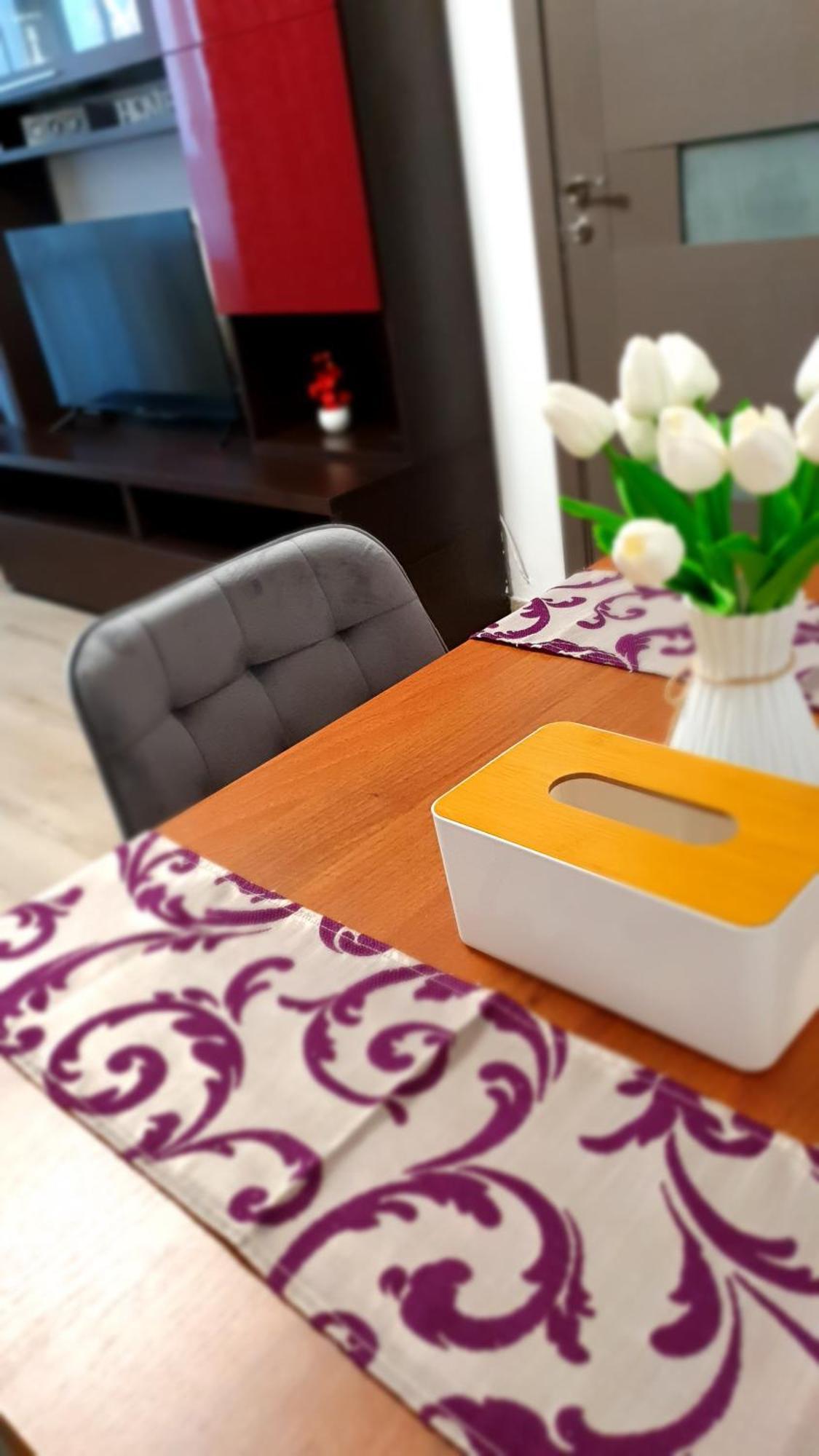 Andrei Apartment Брашов Екстер'єр фото