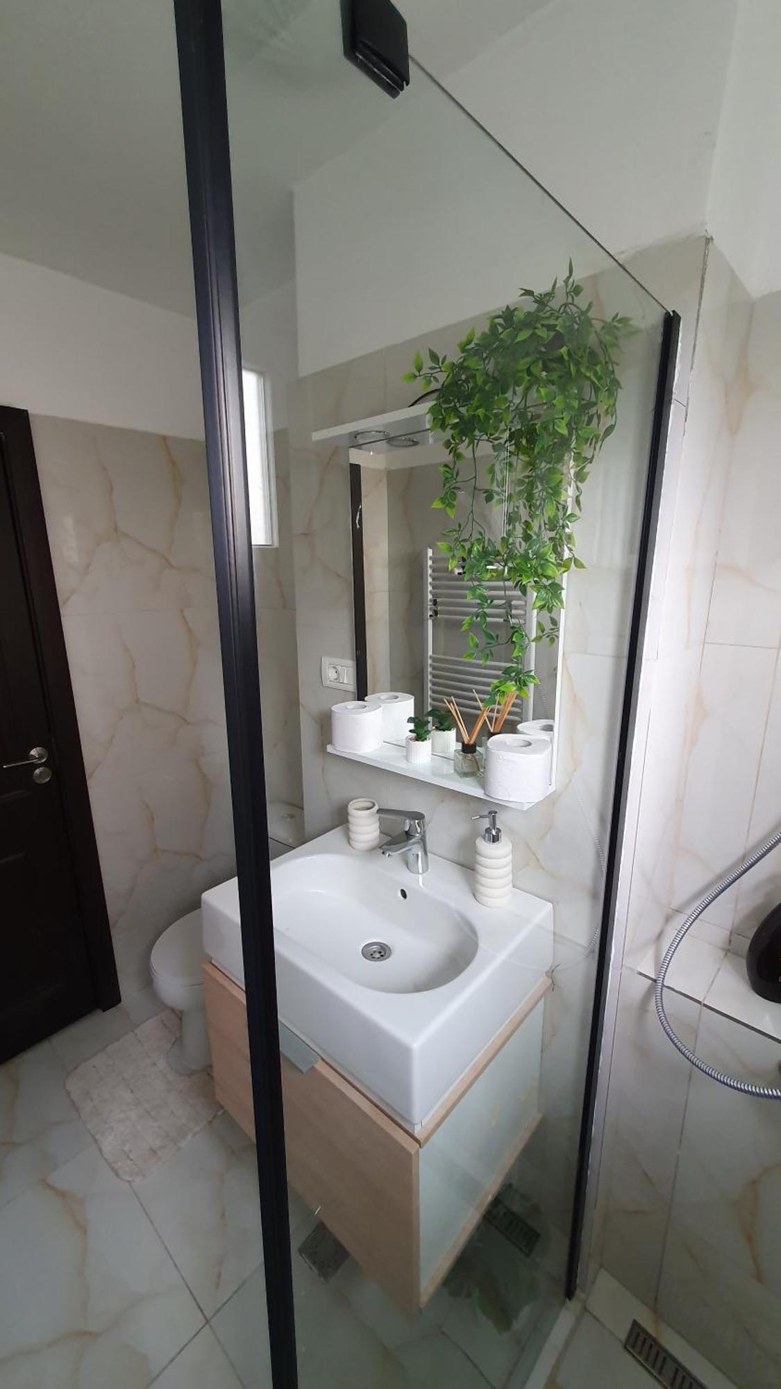 Andrei Apartment Брашов Екстер'єр фото