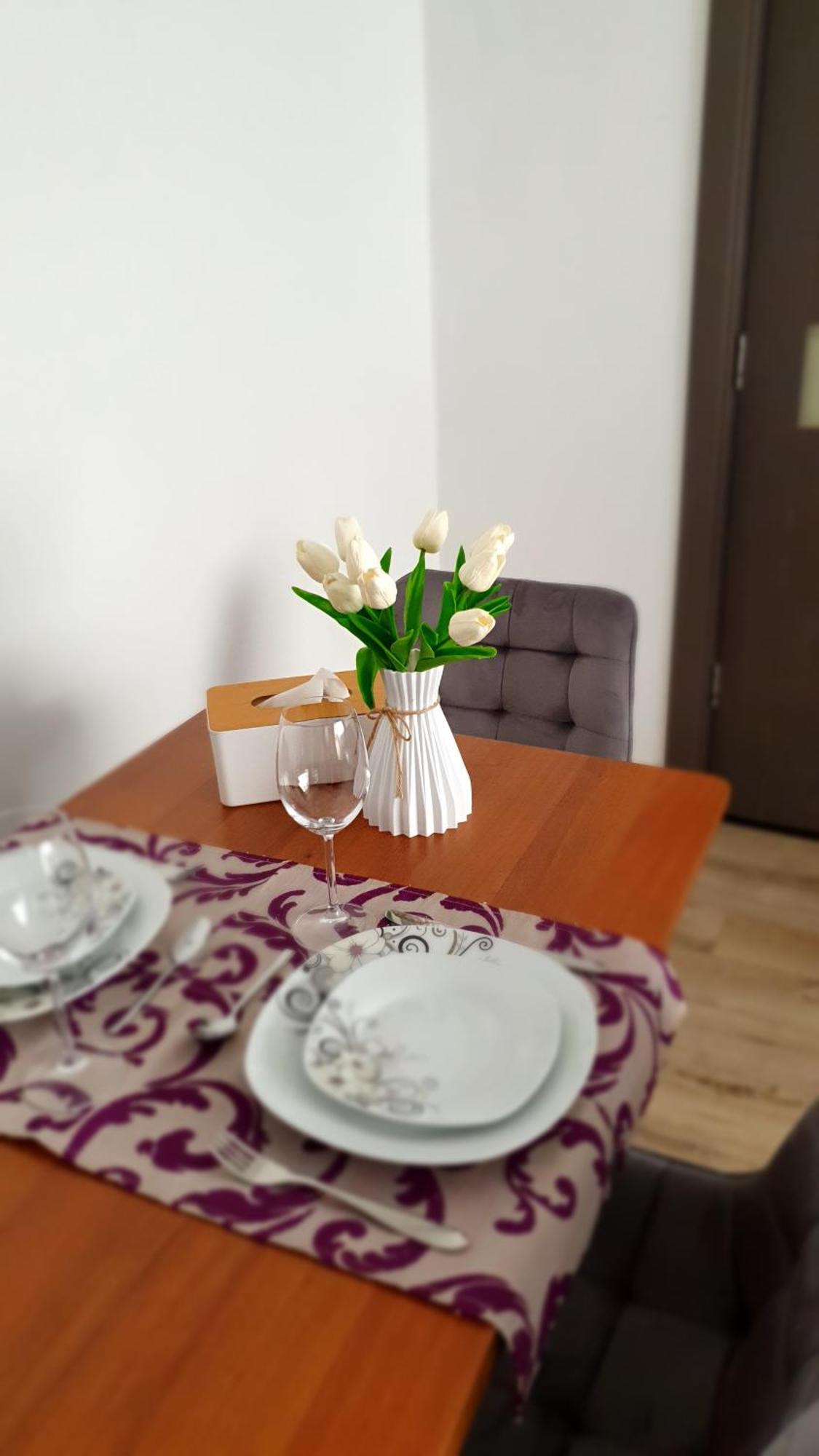 Andrei Apartment Брашов Екстер'єр фото