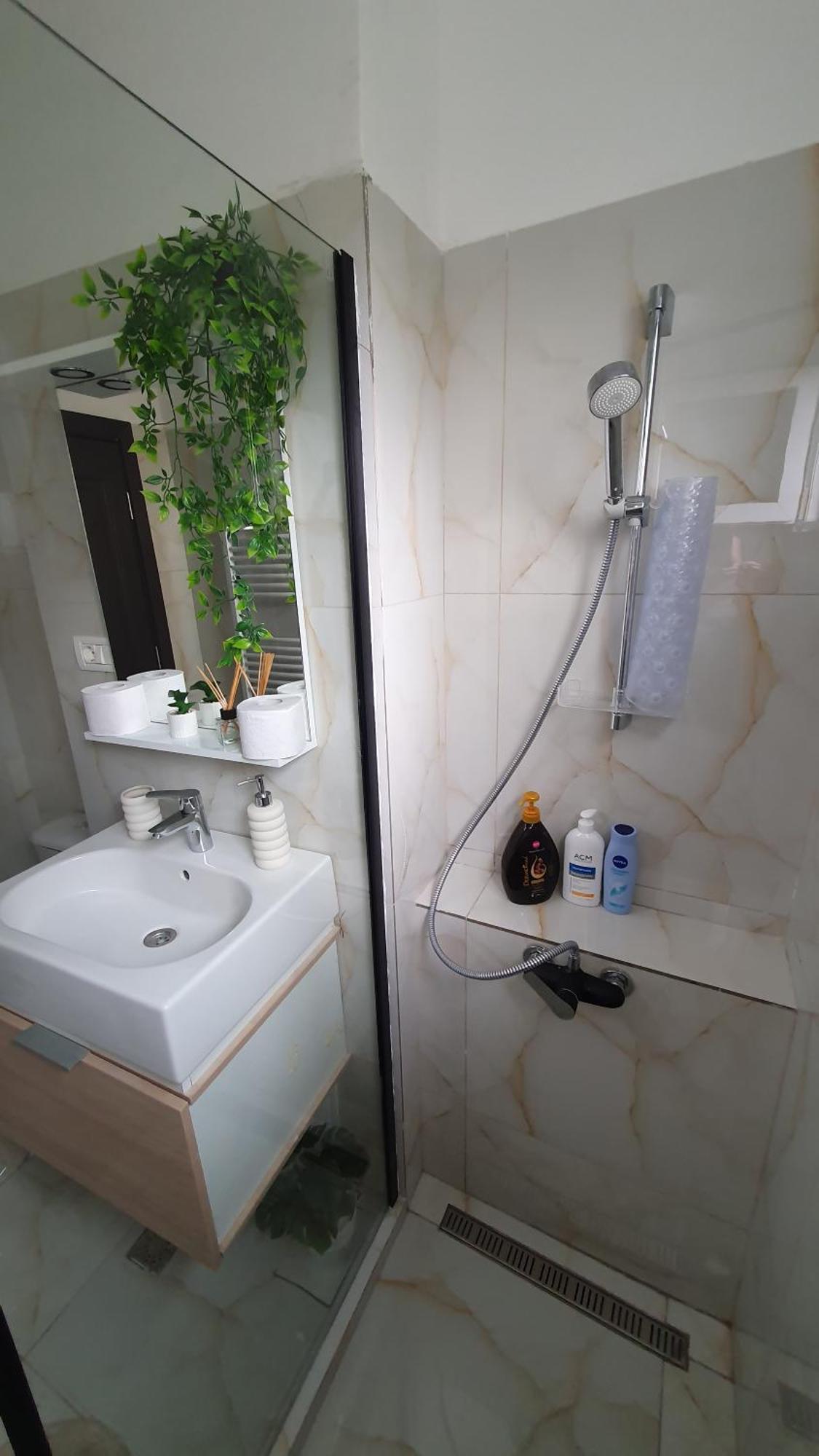 Andrei Apartment Брашов Екстер'єр фото